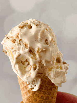 Creamy Ninja Creami cookie butter ice cream served in a bowl with swirls of cookie butter