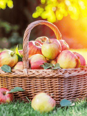 Best Air Fryer Apple Recipes