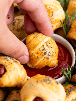 Mini Pig In Blanket