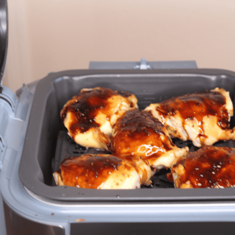 How To Make Teriyaki Chicken Thighs In Ninja Speedi