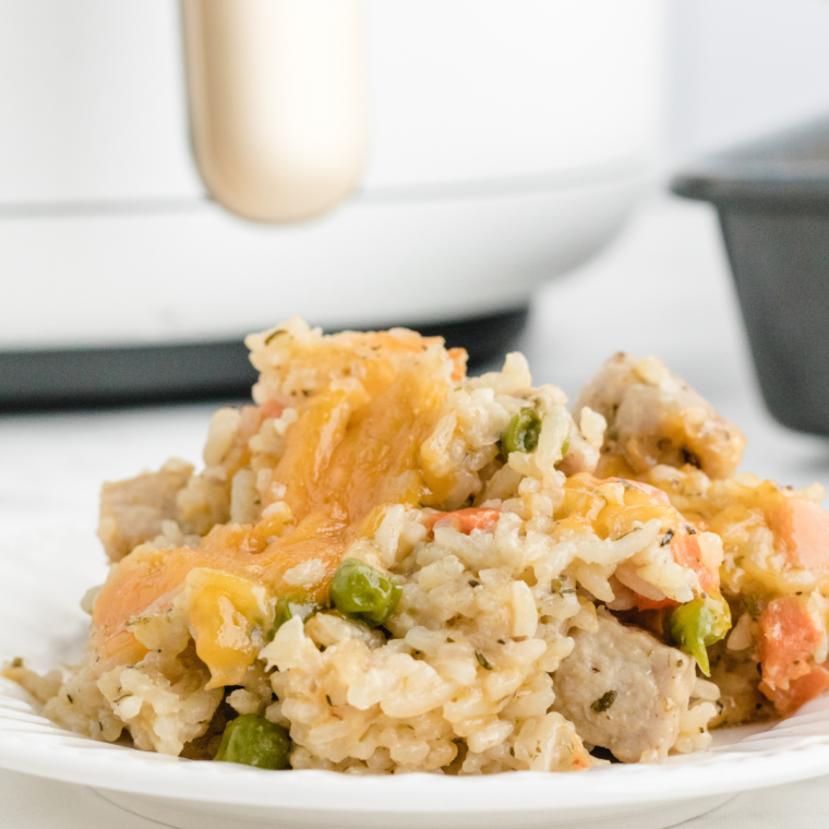 Air Fryer Pork Fried Rice