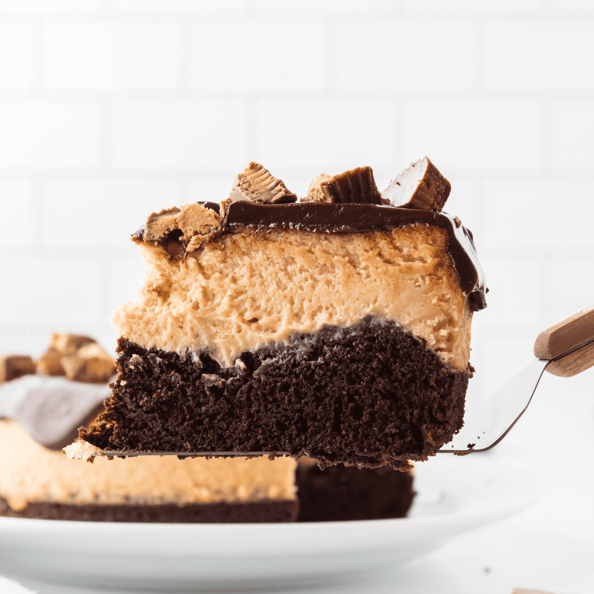 Reese's Peanut Butter Chocolate Cake Cheesecake