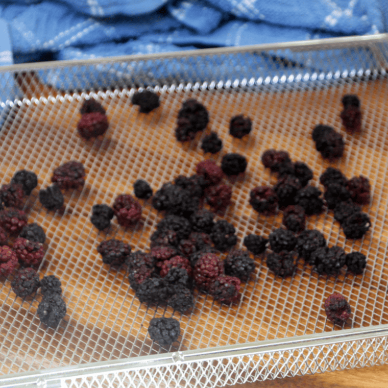 Air Fryer Dehydrating Blackberries