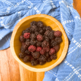 Air Fryer Dehydrating Blackberries