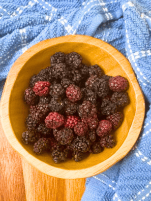 Air Fryer Dehydrating Blackberries