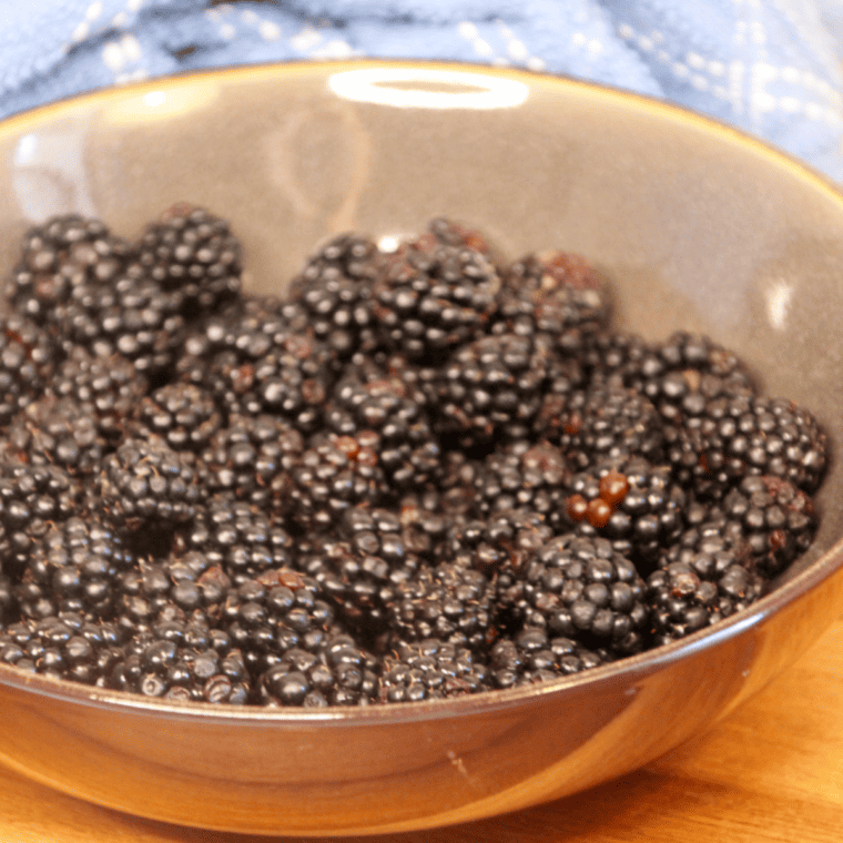 How To Dehydrate Blackberries In Air Fryer