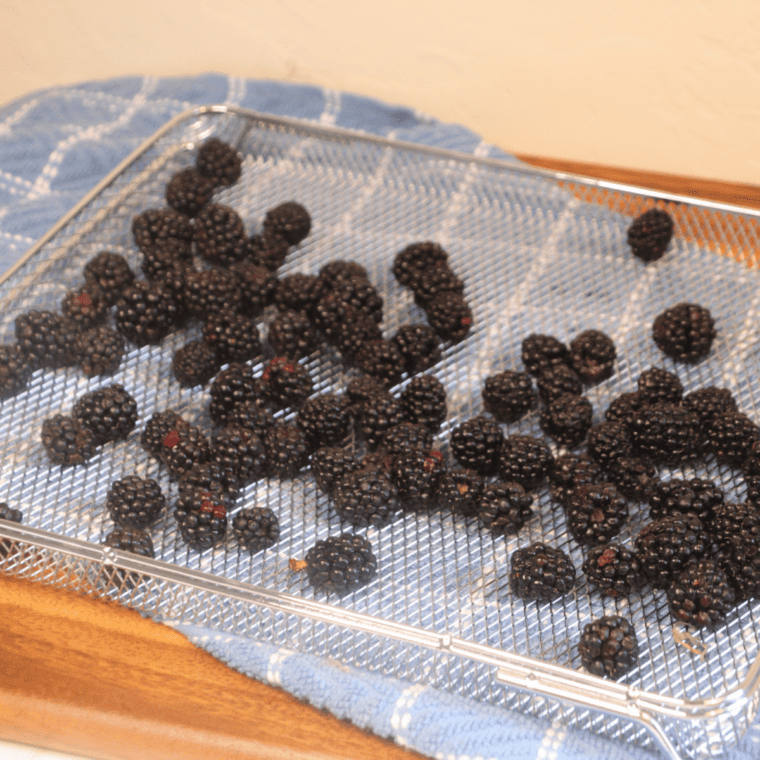 Air Fryer Dehydrating Blackberries