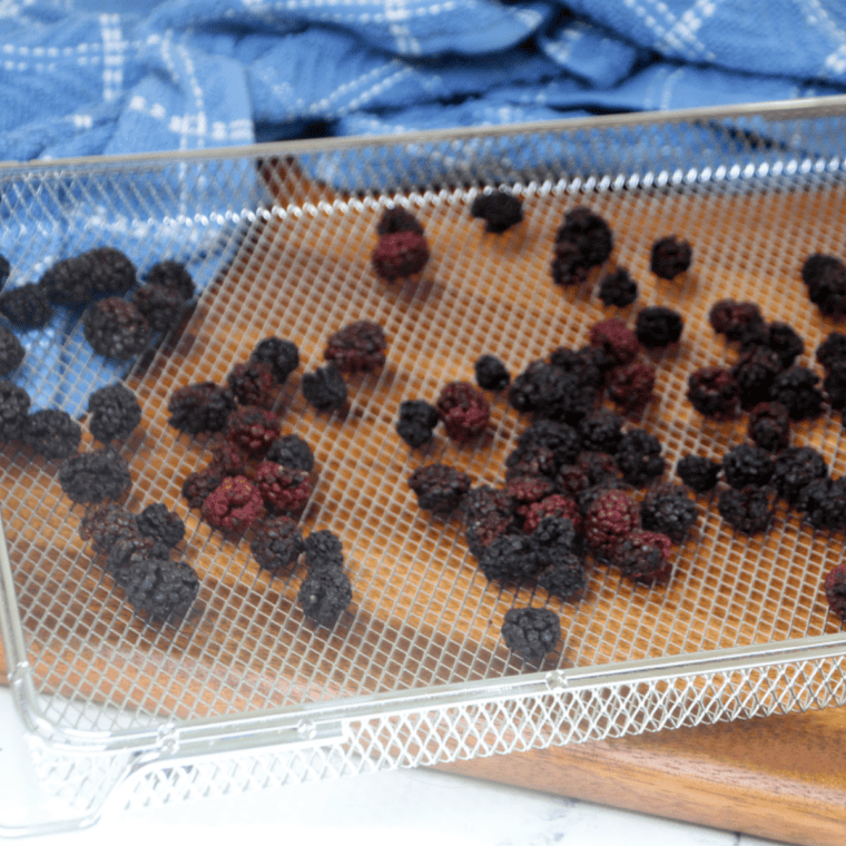 Air Fryer Dehydrating Blackberries