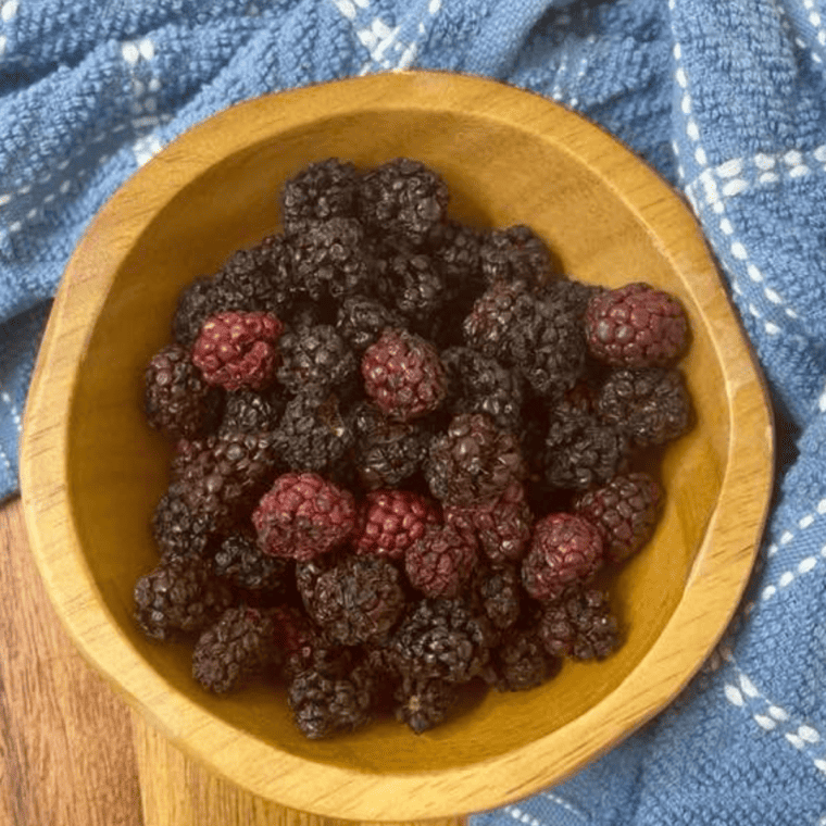 Air Fryer Dehydrating Blackberries