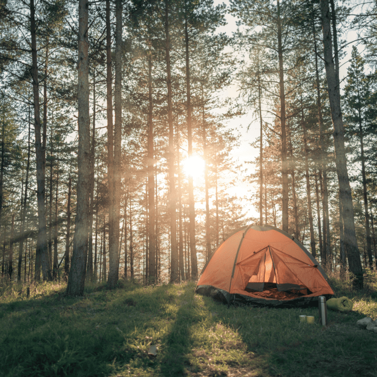Easy Air Fryer Camping Recipes