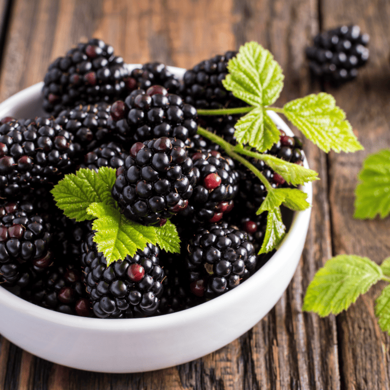 Instant Pot Blackberry Ice Tea