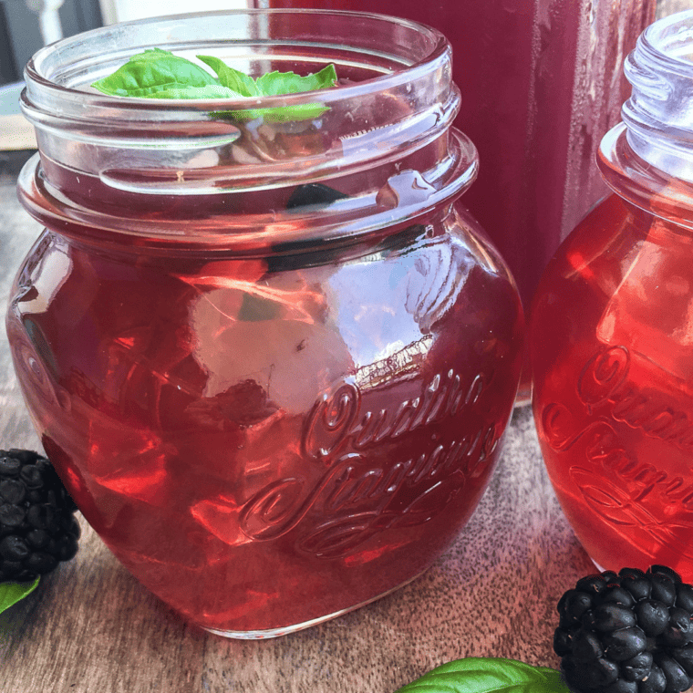 Instant Pot Blackberry Ice Tea