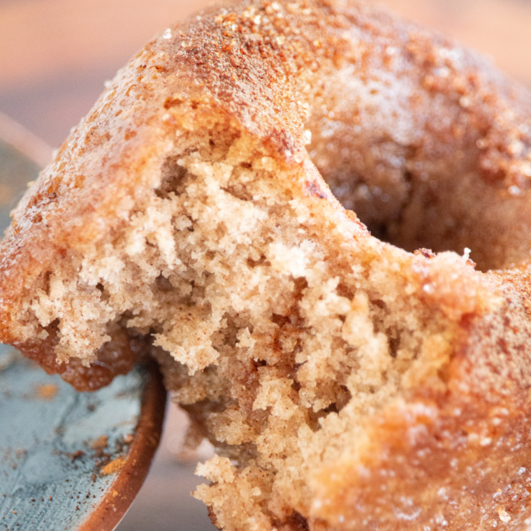 Homemade Air Fryer Churro Donuts with a crisp cinnamon-sugar coating, ready to serve