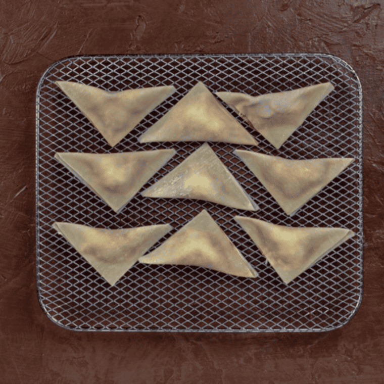 Air Fryer Pizza Wontons