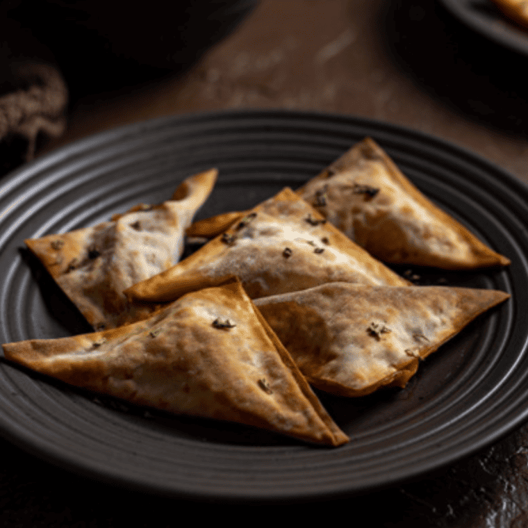 Air Fryer Pizza Wontons