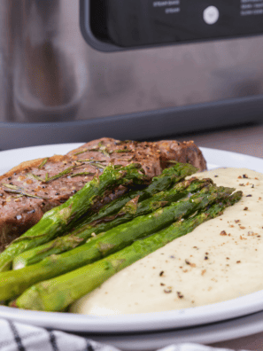 Ninja Speedi Steak