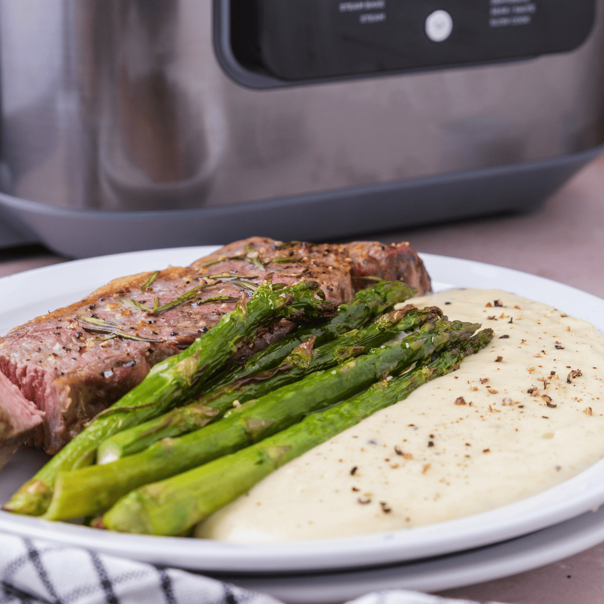 Ninja Speedi Steak