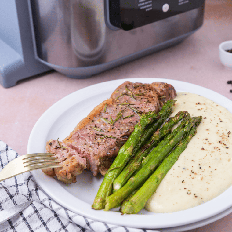 Ninja Speedi Steak