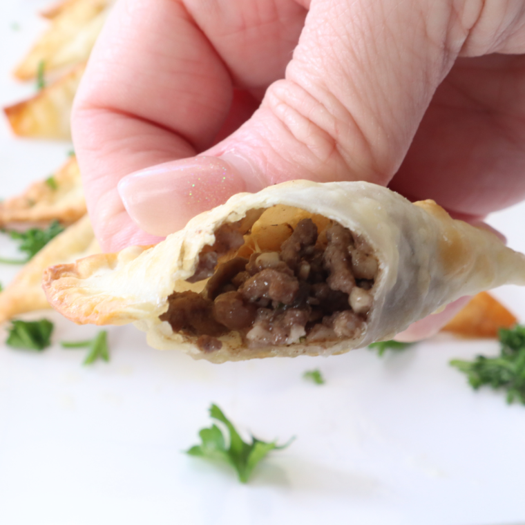 Air Fryer Beef Wellington Wontons