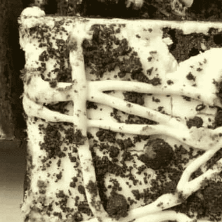 Air Fryer Cookies & Cream Brownies