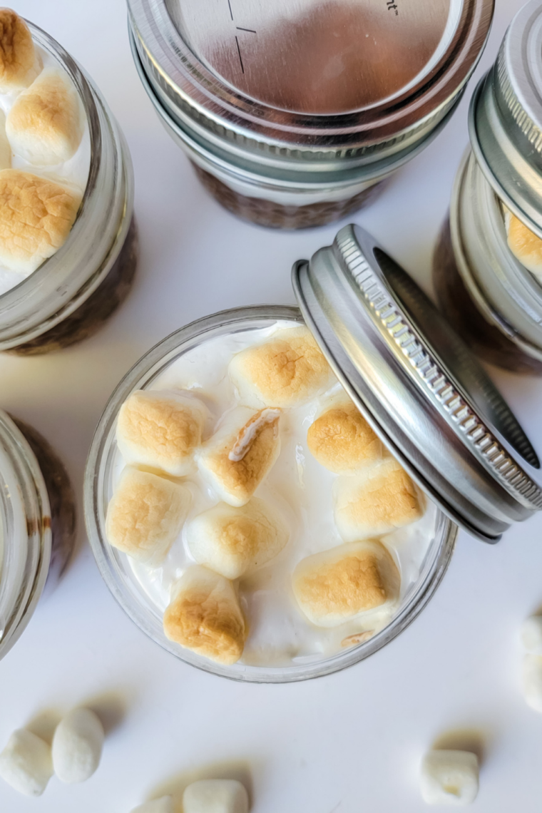 Air Fryer Peanut Butter Smore's