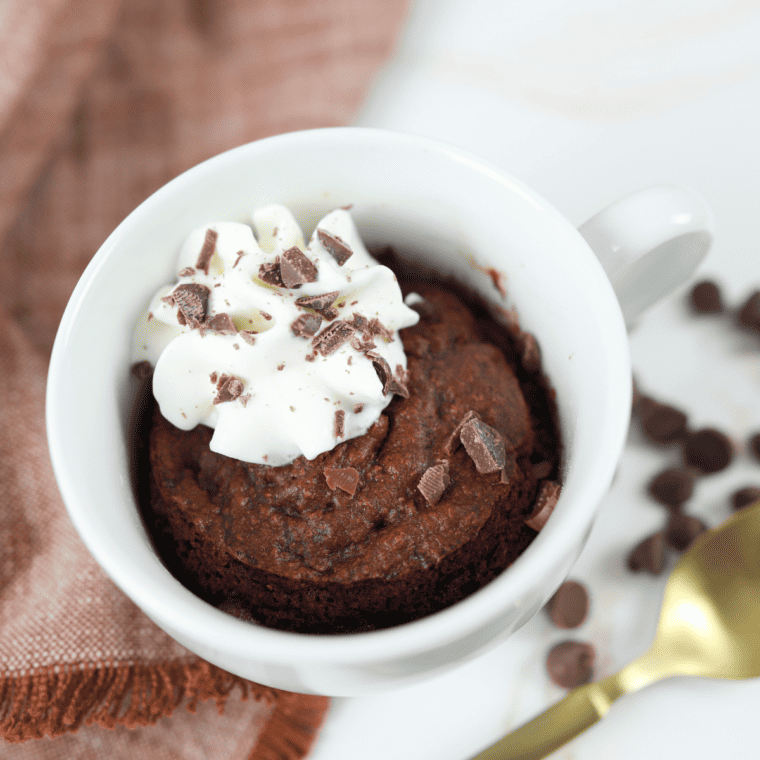 Air Fryer Chocolate Mug Cake served in a ramekin with rich chocolate flavor and topped with a dusting of powdered sugar.