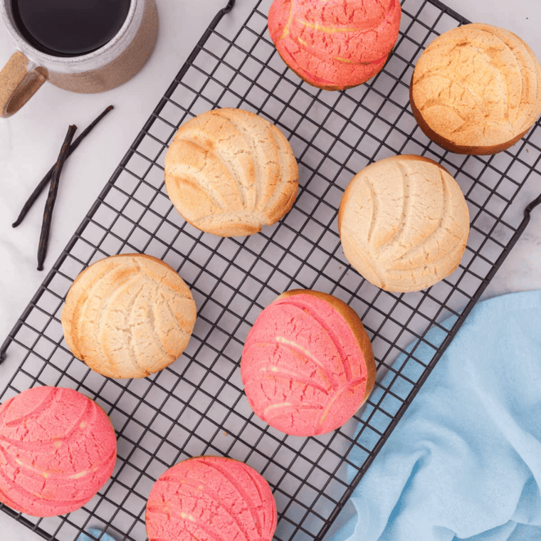 Air Fryer Conchas