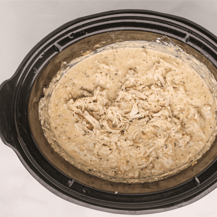 Shredded chicken and uncooked rotini stirred into the creamy sauce