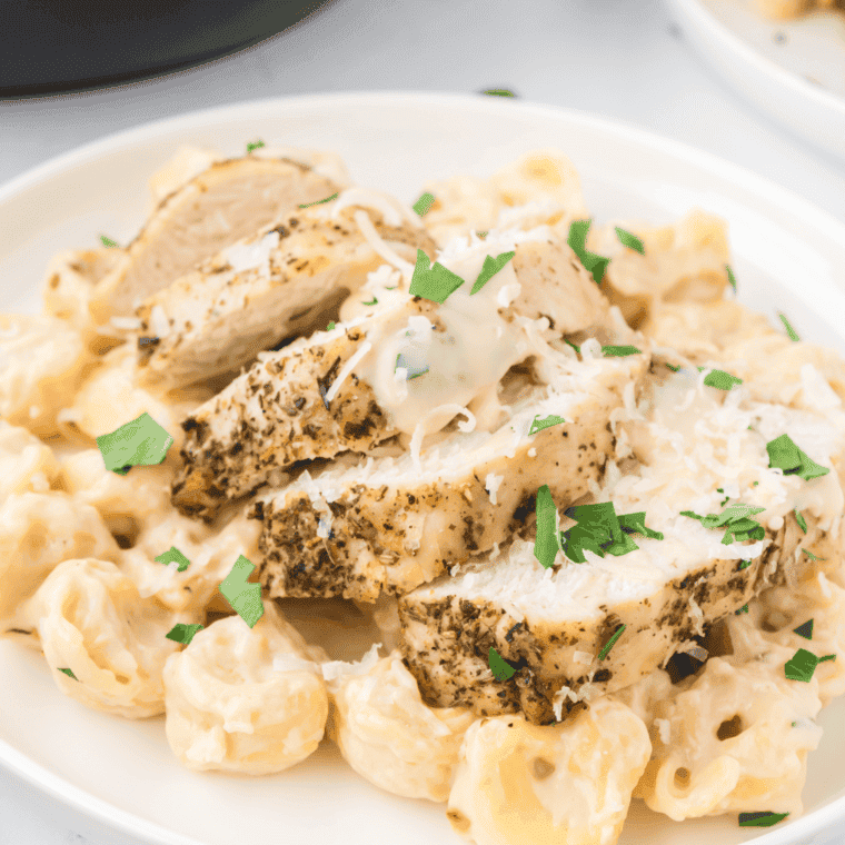 Plate of chicken tortelloni alfredo olive garden