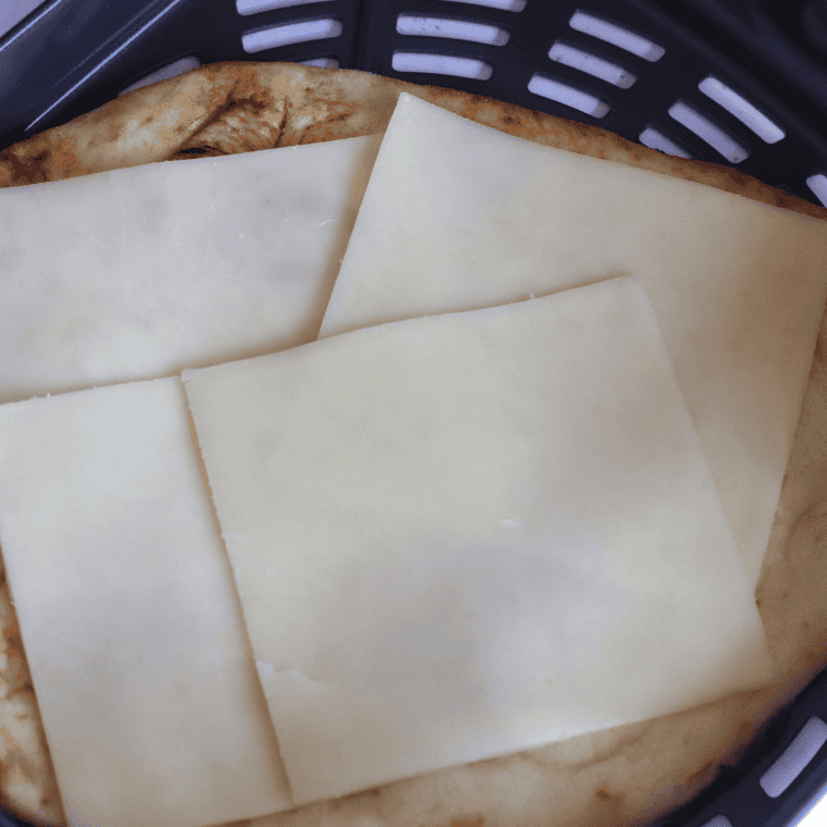 Ninja Foodi Grill Grilled Cheese