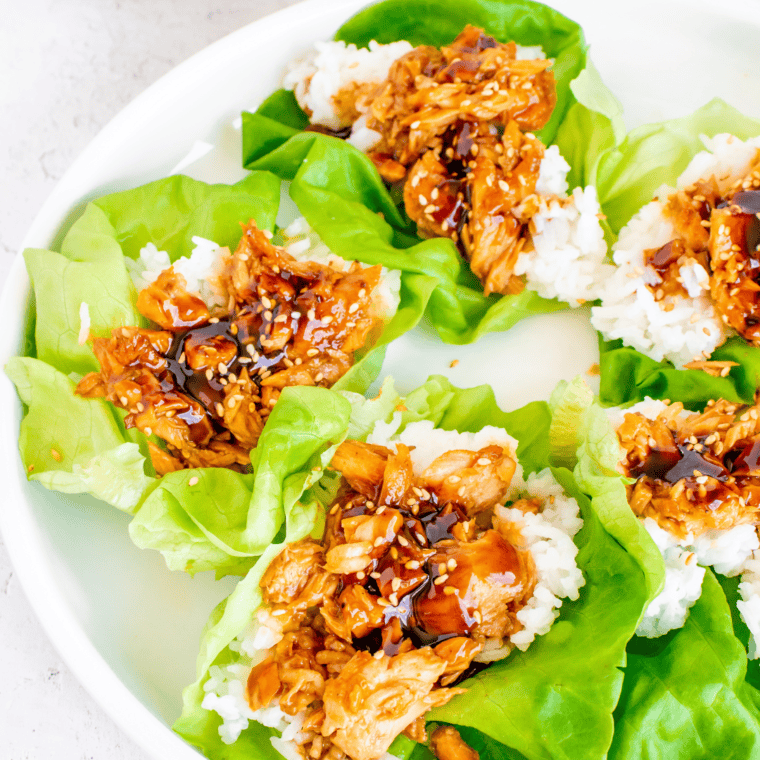 Salmon Lettuce Wraps
