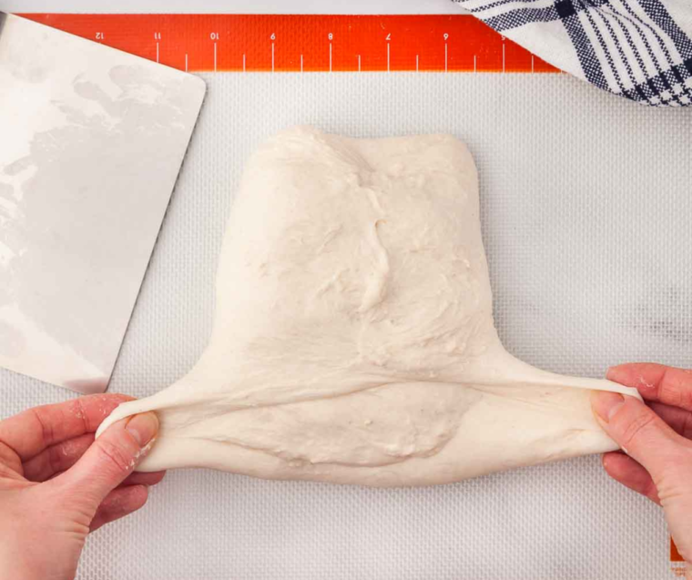 Sourdough bread dough rising in a greased bowl covered with plastic wrap
