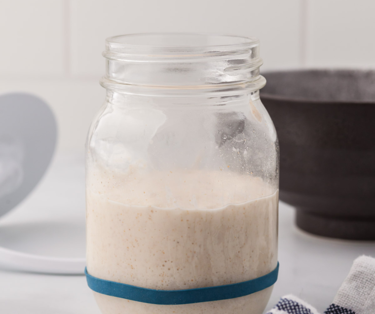 Sourdough starter at peak rise marked with an elastic band before mixing dough
