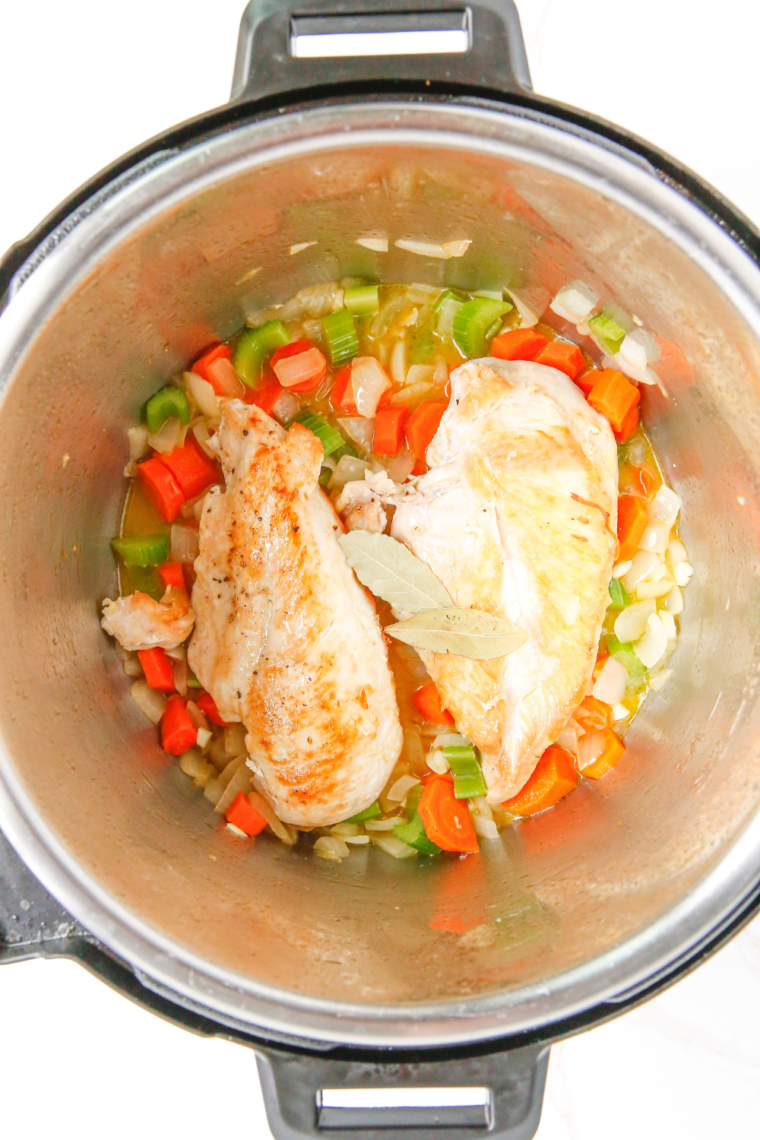 Copycat Instant Pot Panera Bread Chicken Noodle Soup