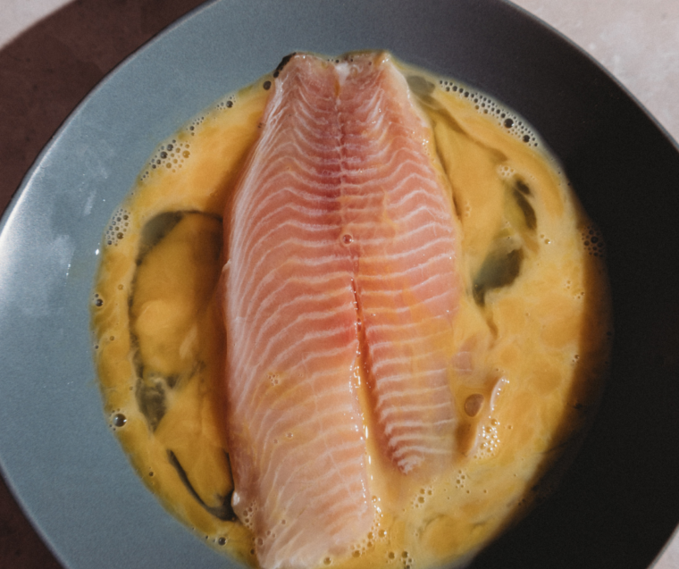 Ninja Woodfire Grill Tilapia