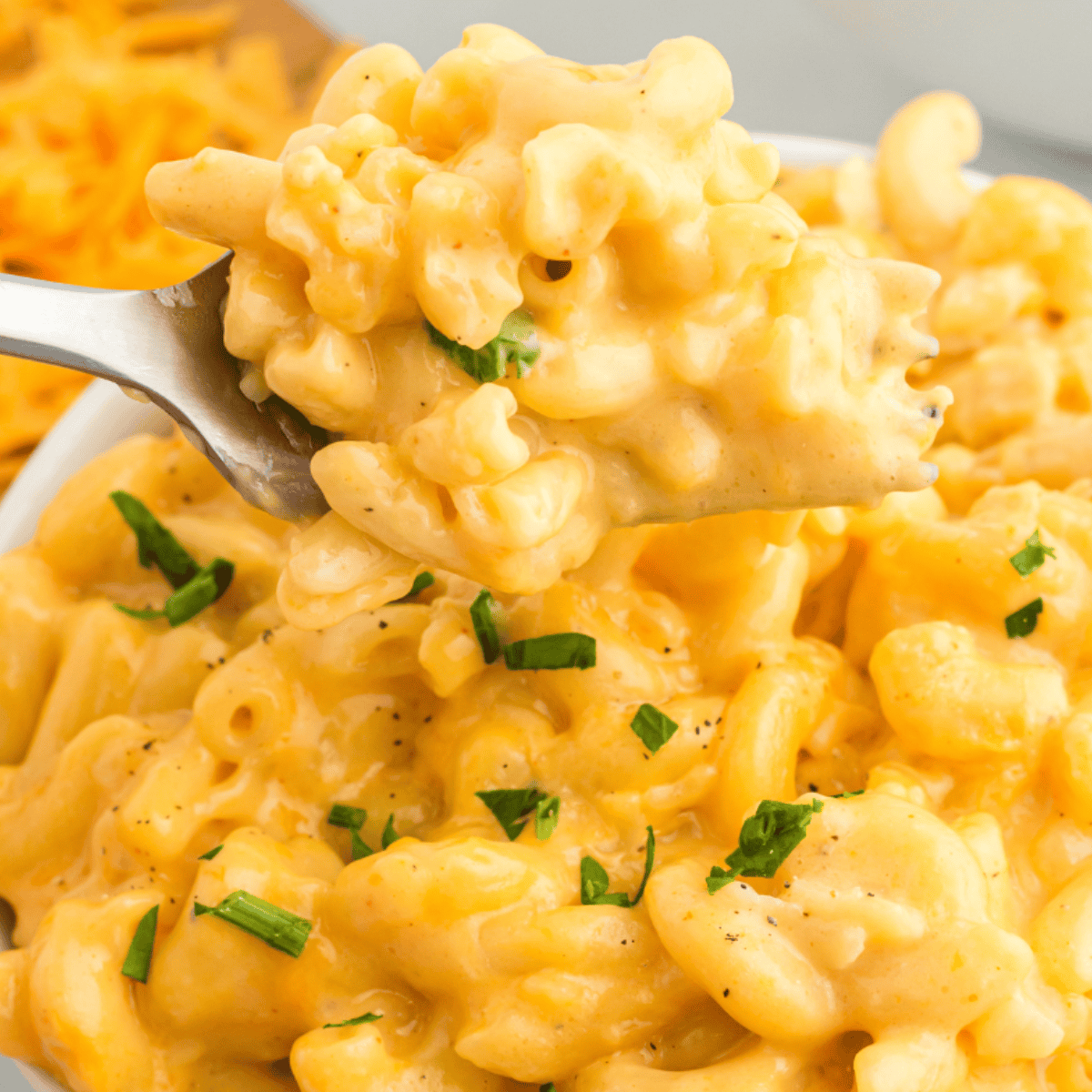 Mike's Farm Macaroni and Cheese