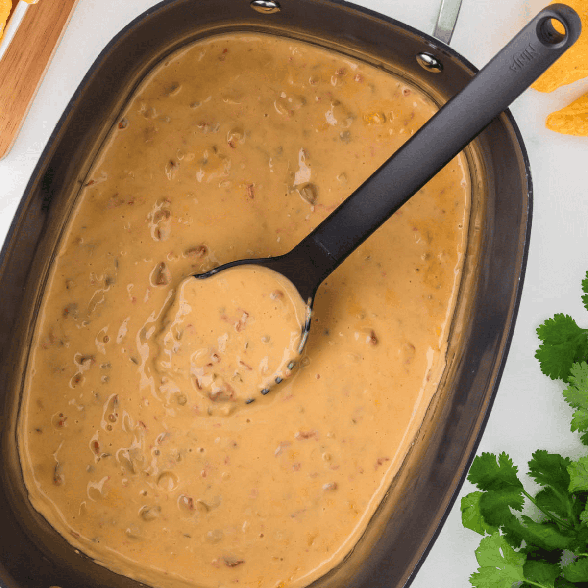 Ninja Foodi Possible Cooker Queso Dip