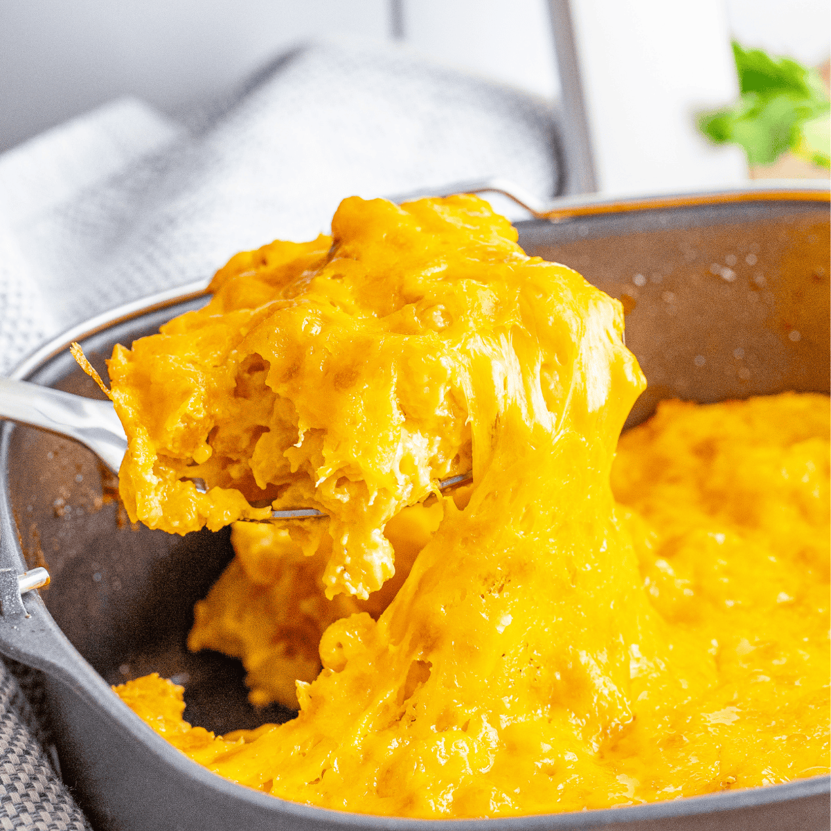 Creamy 3 Cheese Mac and Cheese