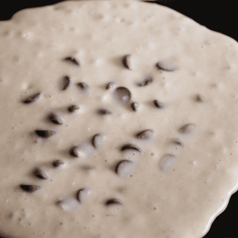 Pancake batter on Ninja Grill cooking.