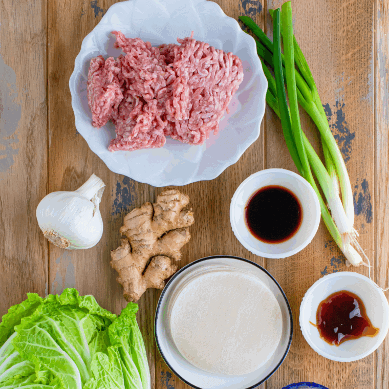 Ingredients needed for Benihana Gyoza Copycat Recipe on kitchen table.
