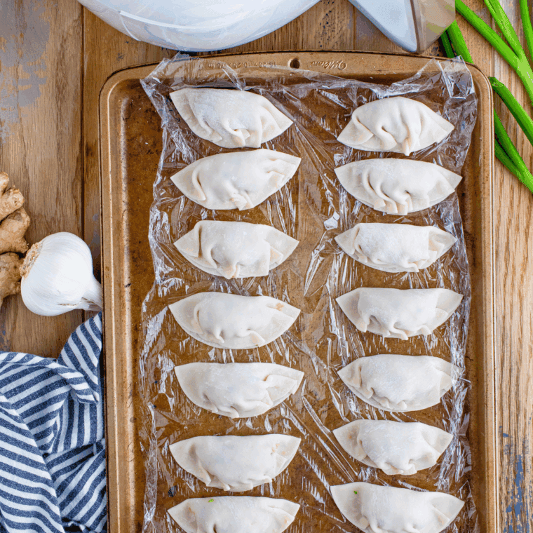 Plate of Benihana Gyoza uncooked on baking tray.