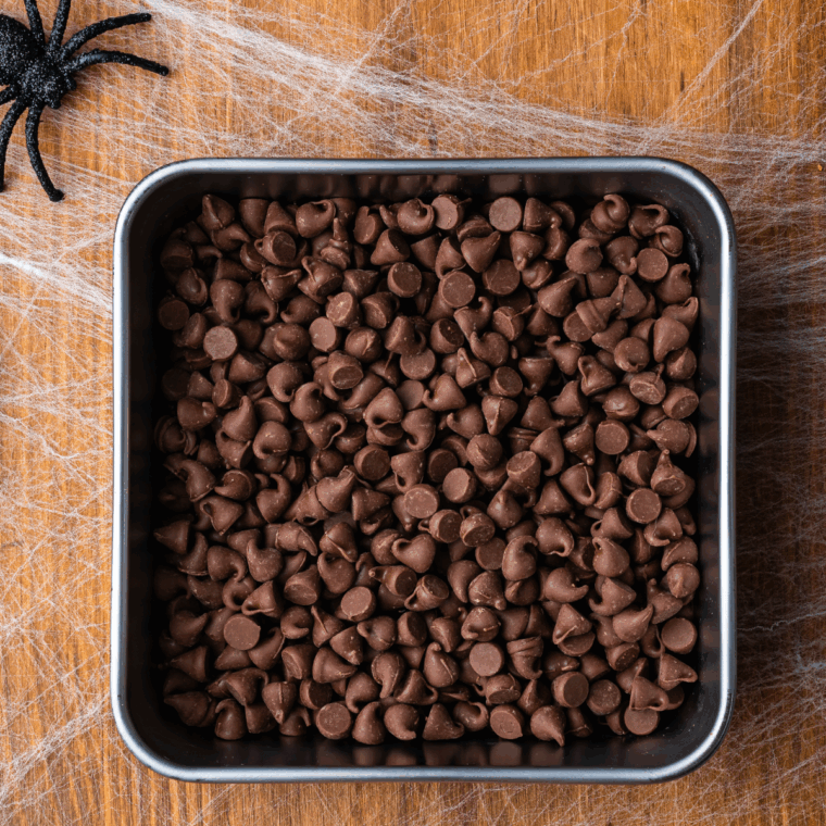 Place chocolate chips in the baking pan.