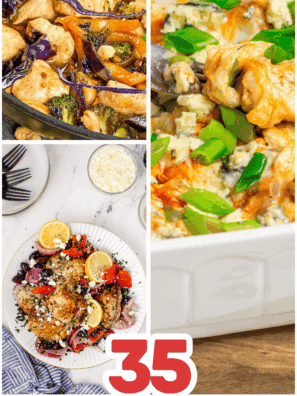 35+ Delicious Chicken Appetizer Recipe Ideas