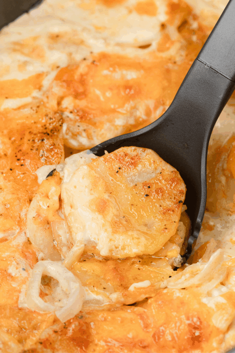 creamy Ruth’s Chris style potatoes au gratin baked in casserole dish