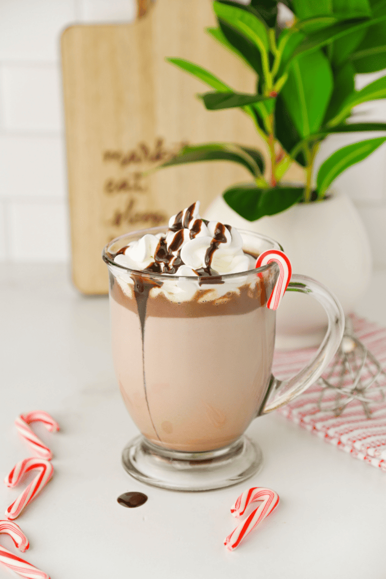 Close-up of peppermint hot chocolate in a slow cooker with candy cane garnish