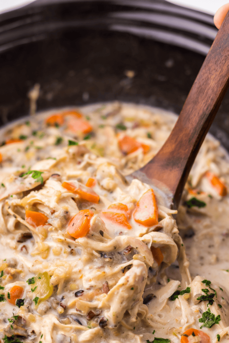 Spoonful of slow cooker chicken and wild rice soup with tender shredded chicken and wild rice
