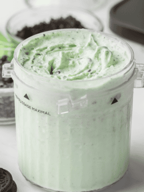 Cold Stone Mint Mint Chocolate Chocolate Chip Ninja Creami copycat scooped into a white bowl with a fudge ribbon