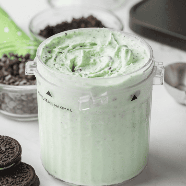 Cold Stone Mint Mint Chocolate Chocolate Chip Ninja Creami copycat scooped into a white bowl with a fudge ribbon