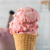 Ninja Creami copycat Blue Bell Homemade In The Shade ice cream in a bowl with a thick chocolate fudge swirl