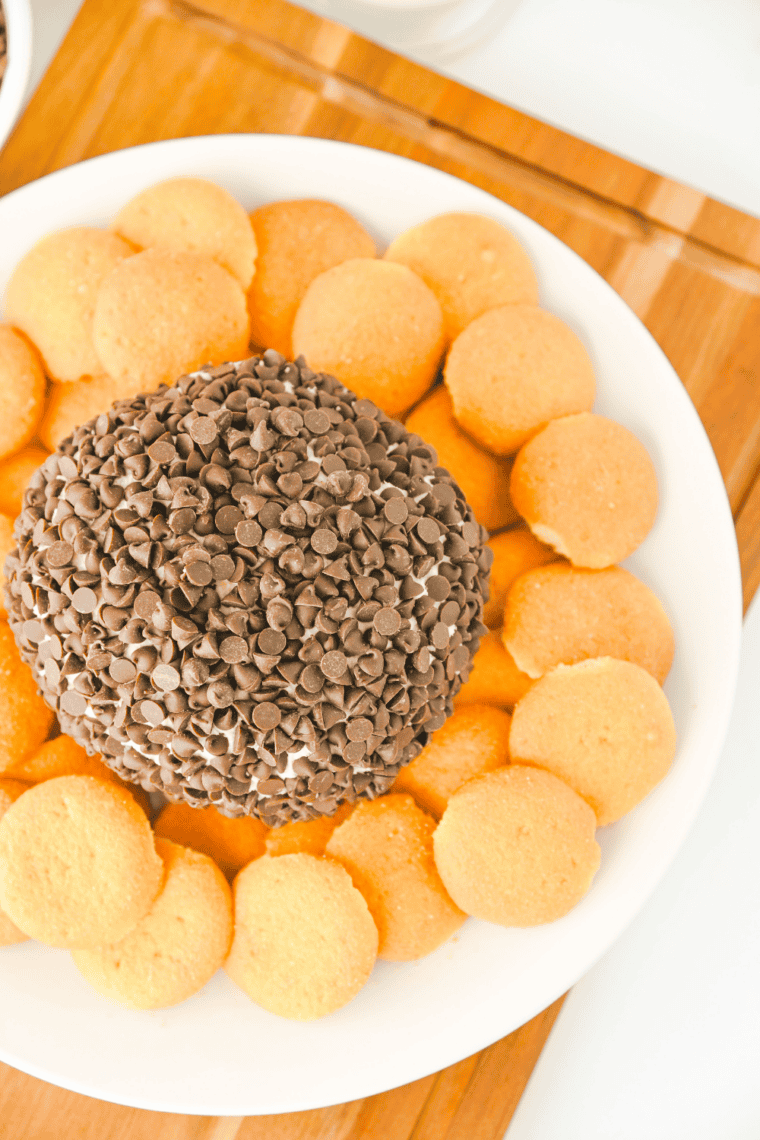 Chocolate chip cheese ball coated in mini chocolate chips on a white platter with graham crackers and pretzels